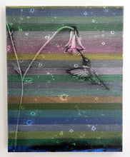 Load image into Gallery viewer, Hummingbird
