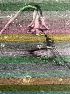 Hummingbird