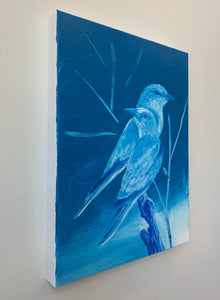 Blue birds