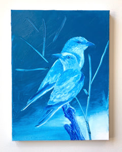 Blue birds
