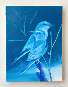 Blue birds